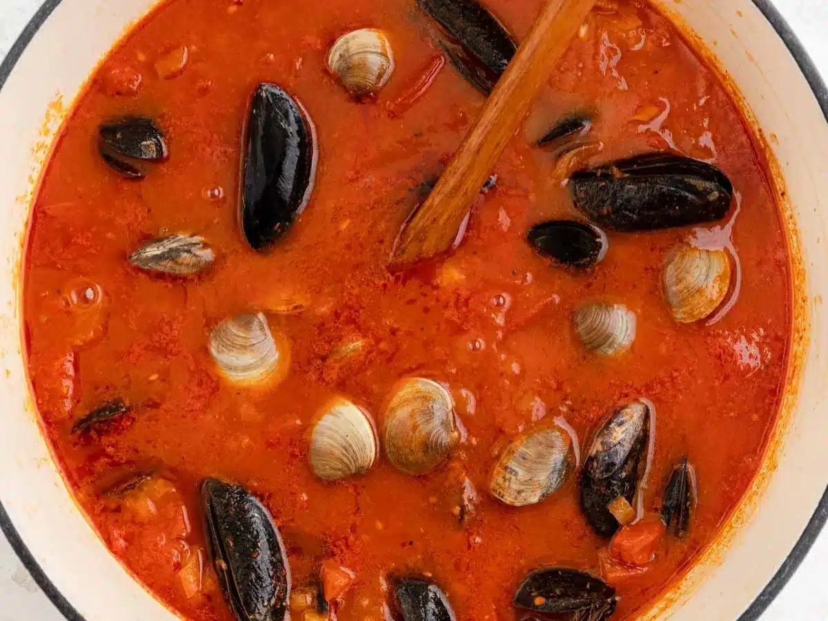 Clams and mussels in tomato broth in pot.