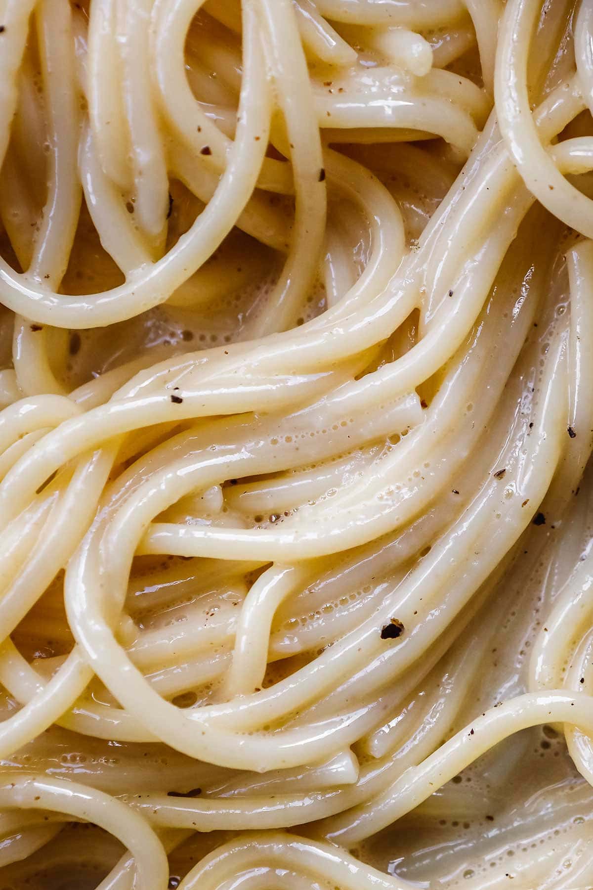 Bacon Carbonara Pasta close up of pasta with sauce