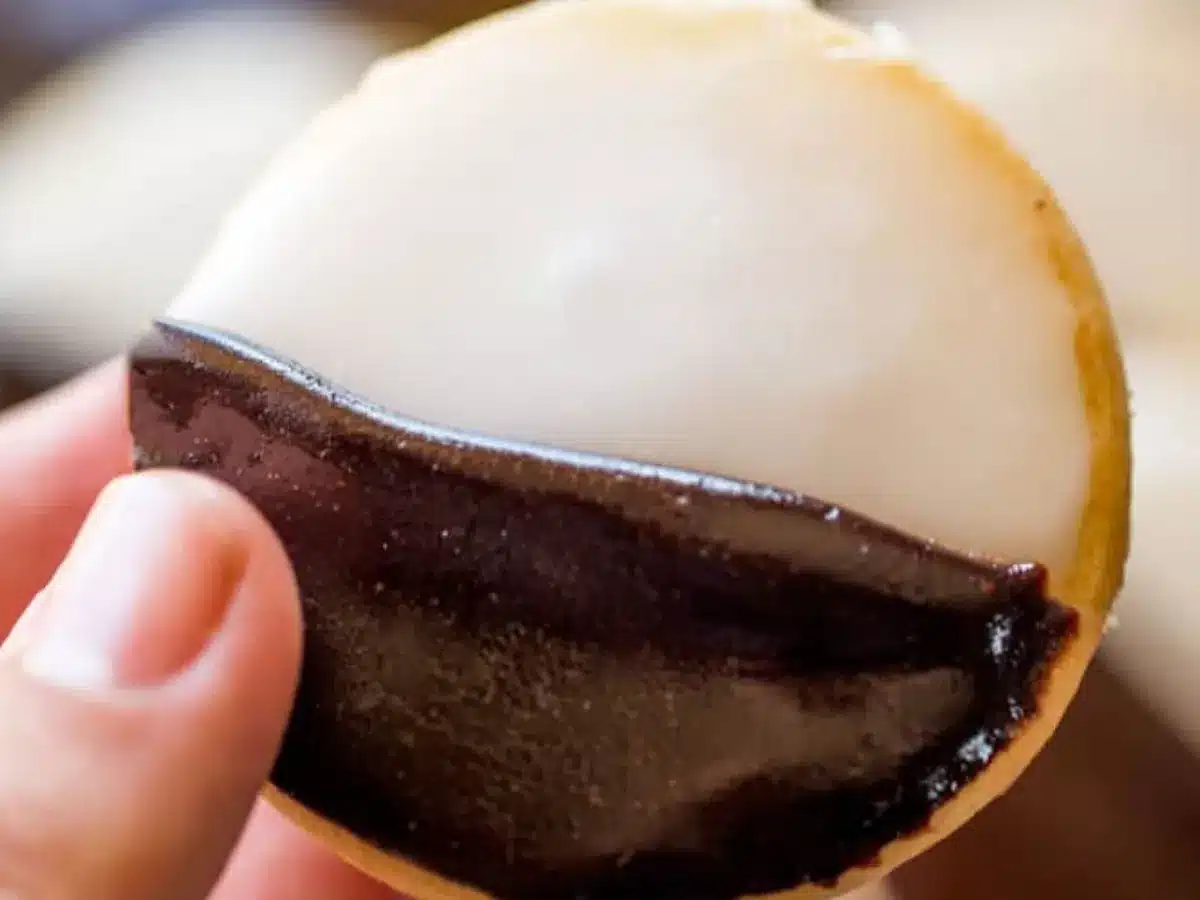 Close up of hand holding cookie
