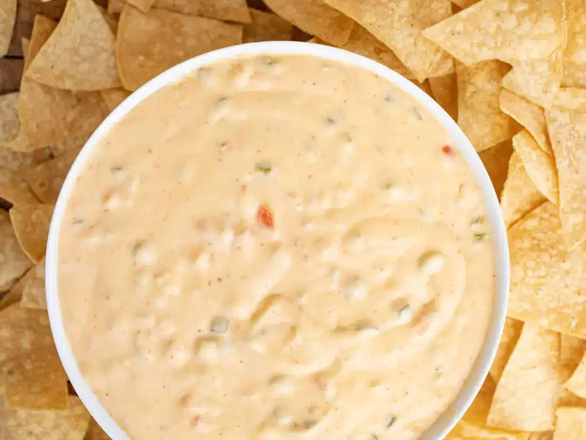 Bowl of Queso surrounded by chips