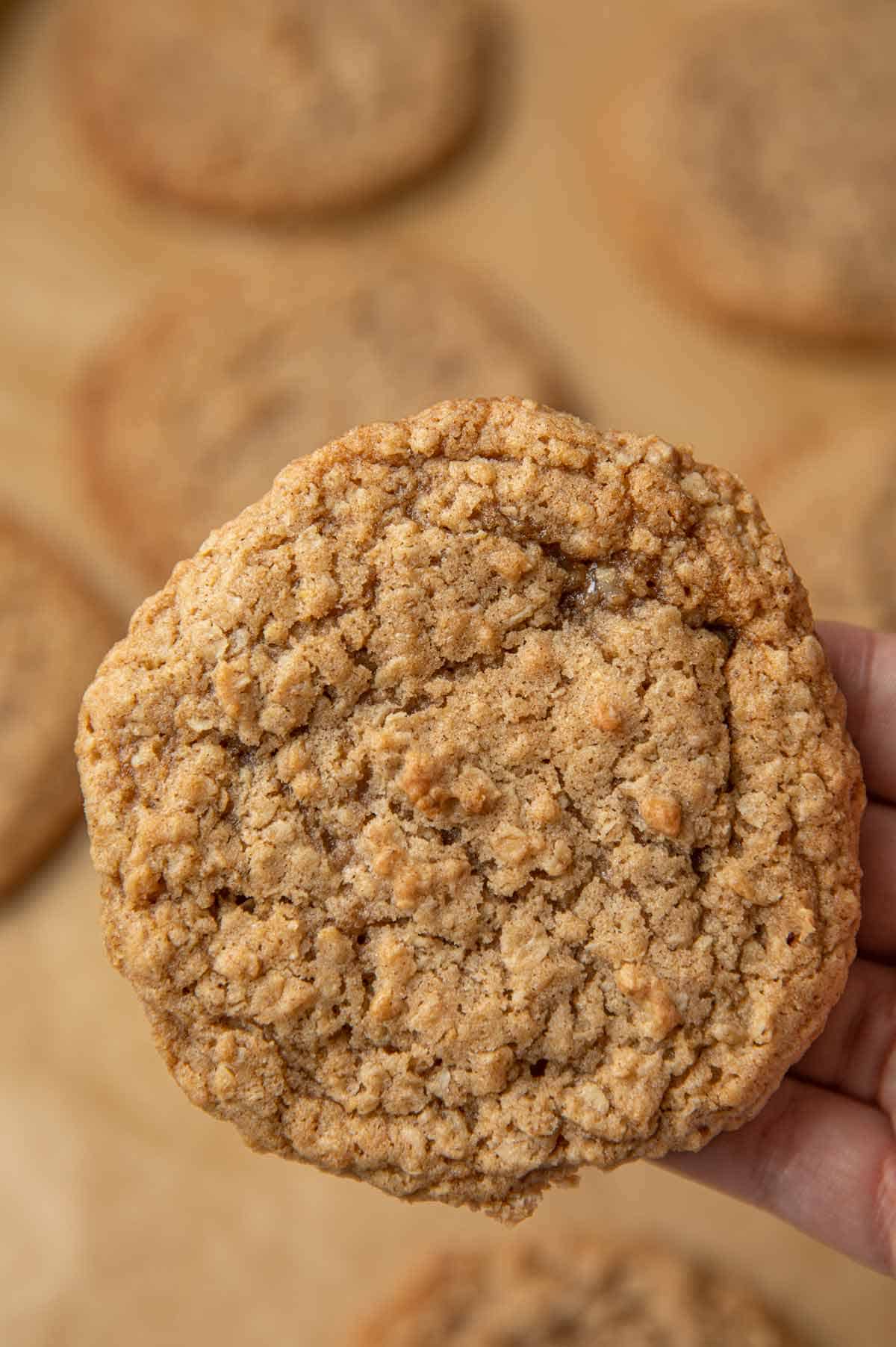 Featured image of post Recipe of Oatmeal Cookie Recipes Without Brown Sugar