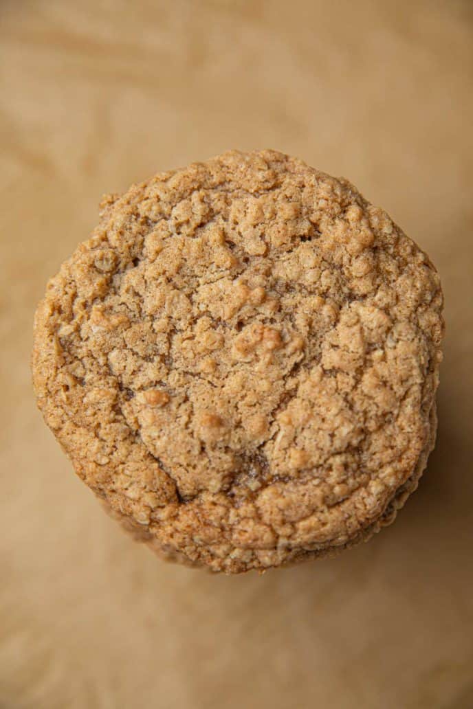 oatmeal cookie close up