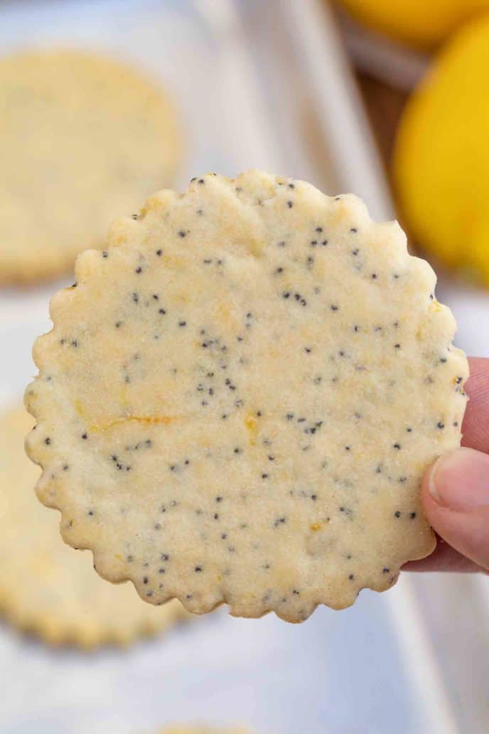 Lemon Shortbread Cookies with Poppy Seeds