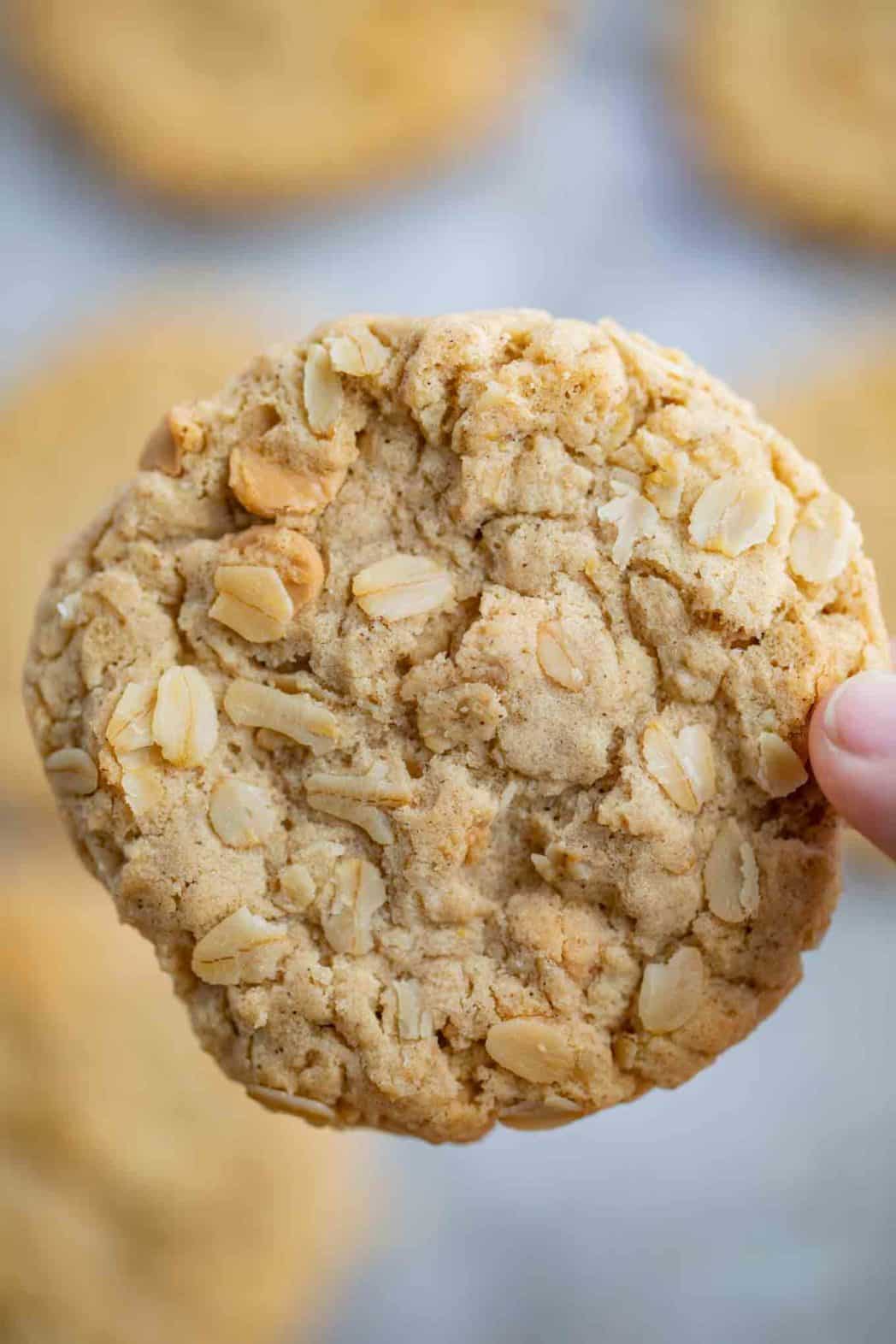 Chewy Oatmeal Scotchies Recipe