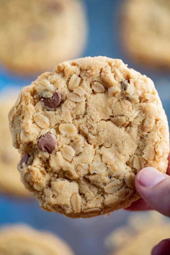 Chocolate Chip Oatmeal Cookie