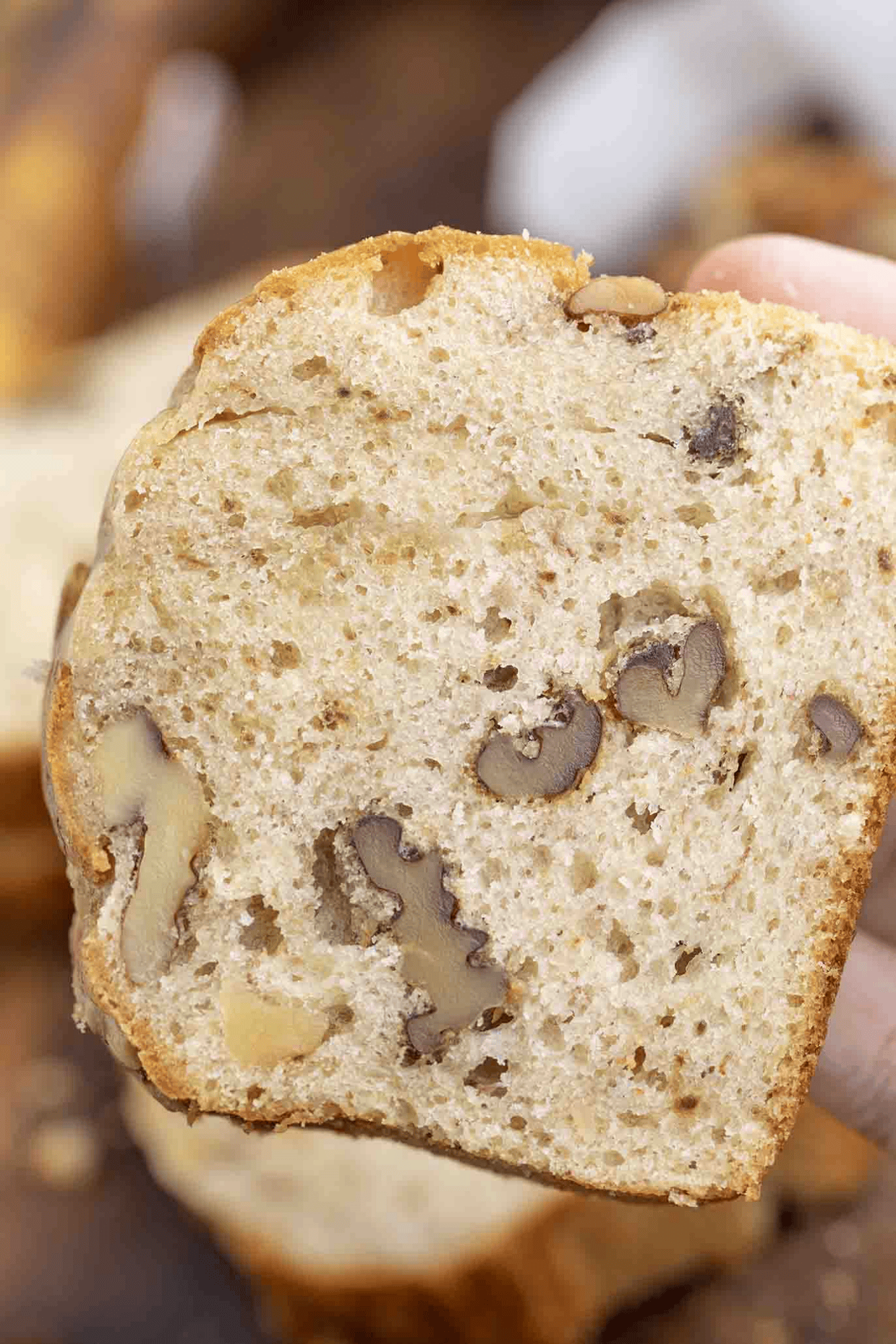 slice of bread shown with nuts in it