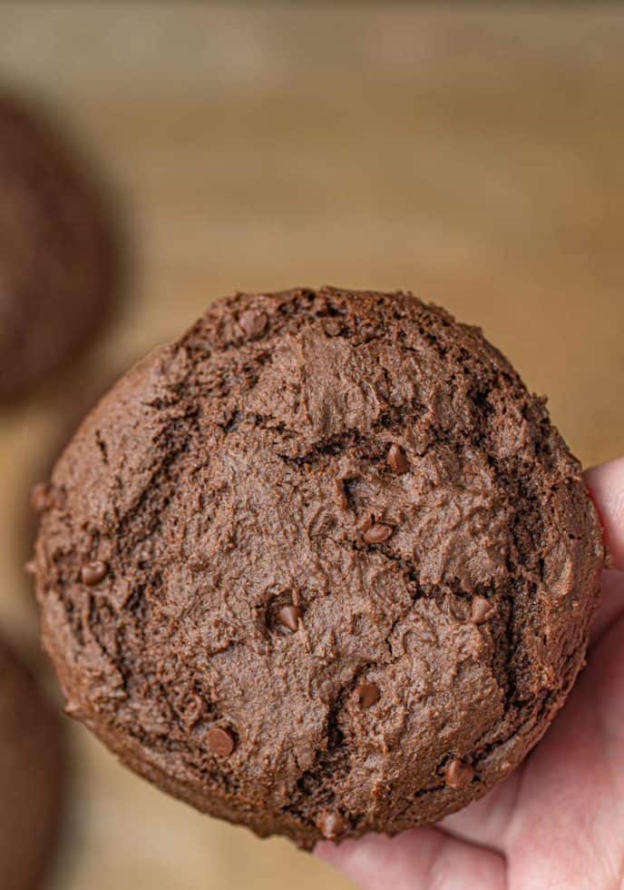 Hand holding Chocolate Cake Mix Cookie