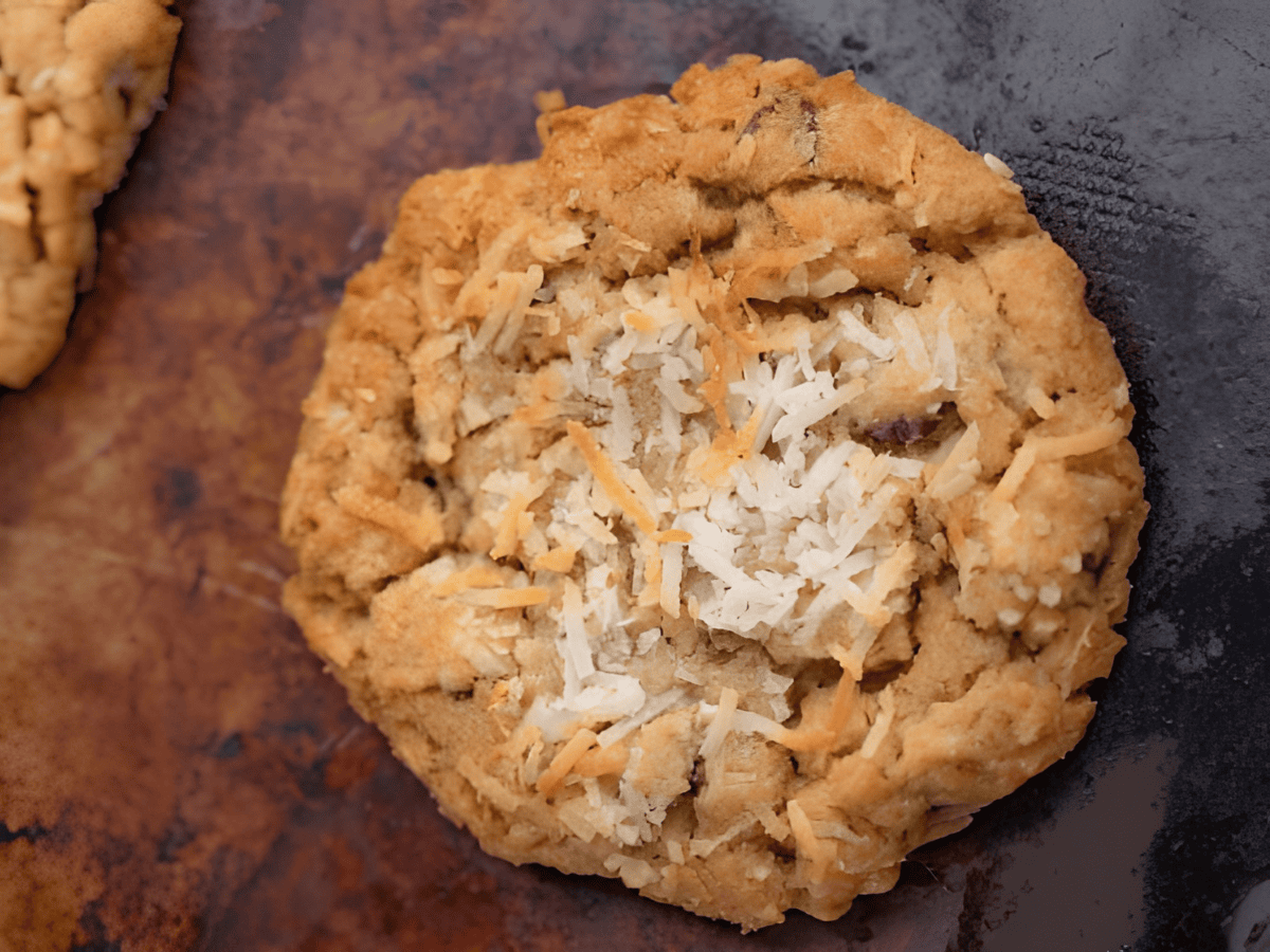 circular chewy dessert with coconut and chocolate