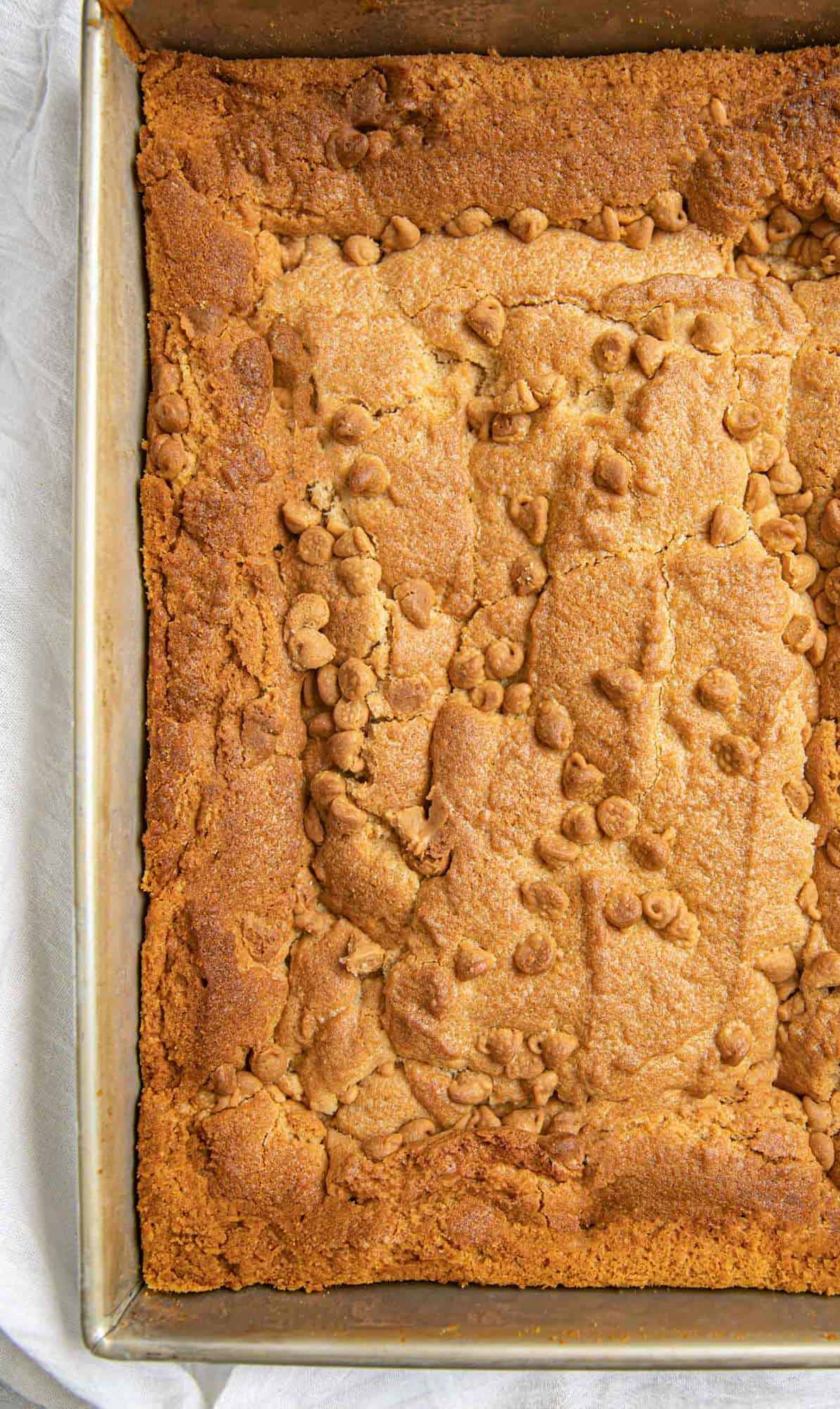 Tray of Peanut Butter Brownies