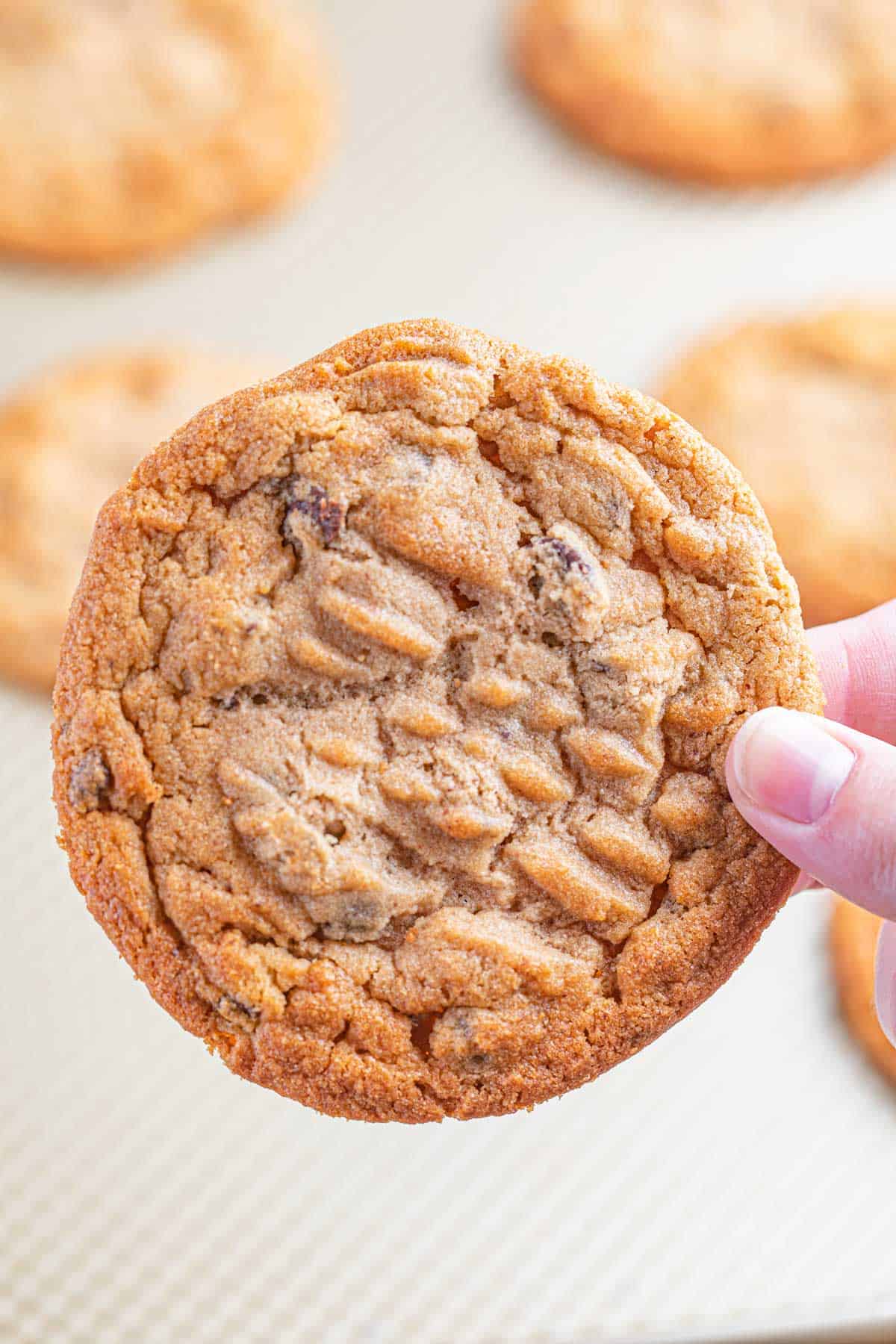 Chocolate Peanut Butter Chip Cookies - Striped Spatula