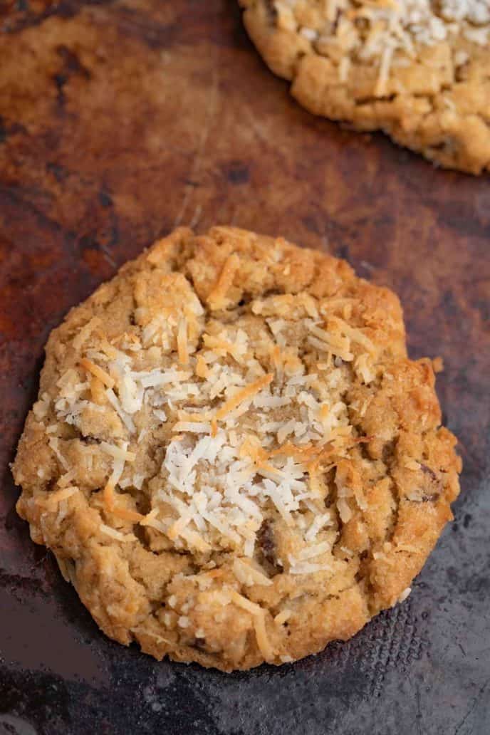 Coconut Chocolate Chip Cookie