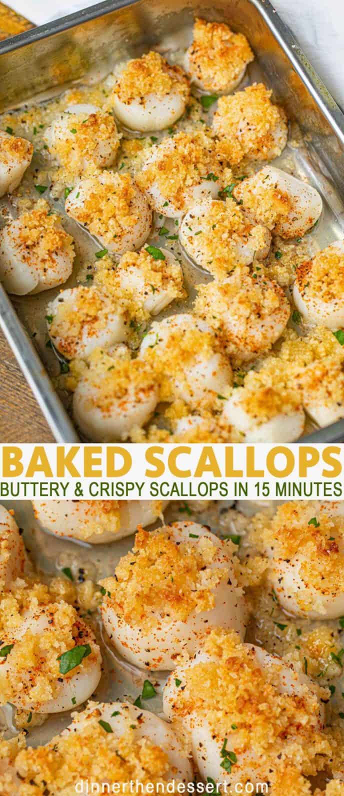 Crispy Baked Scallops (with Buttery Panko topping!) Dinner, then Dessert