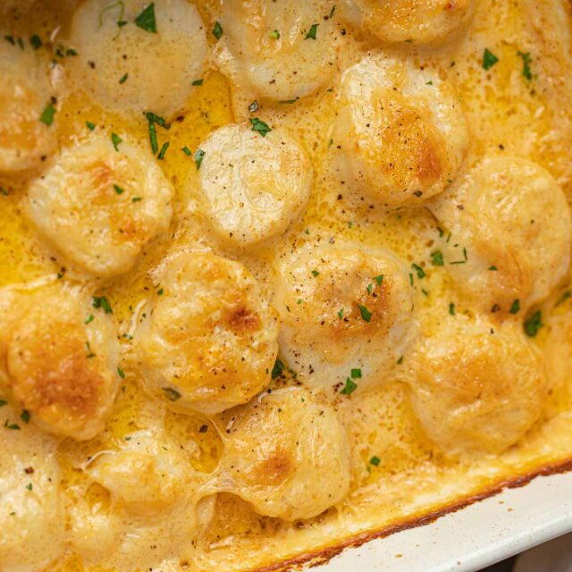 Scallops finished in baking dish