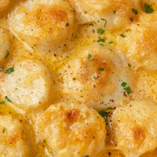 Up Close Scallop Gratin