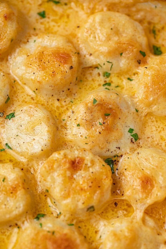 Ultimate Scallop Gratin (1 bowl Prep, Just 20 mins!) Dinner, then Dessert