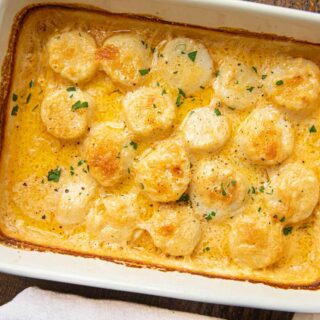 Scallop in white and yellow baking dish