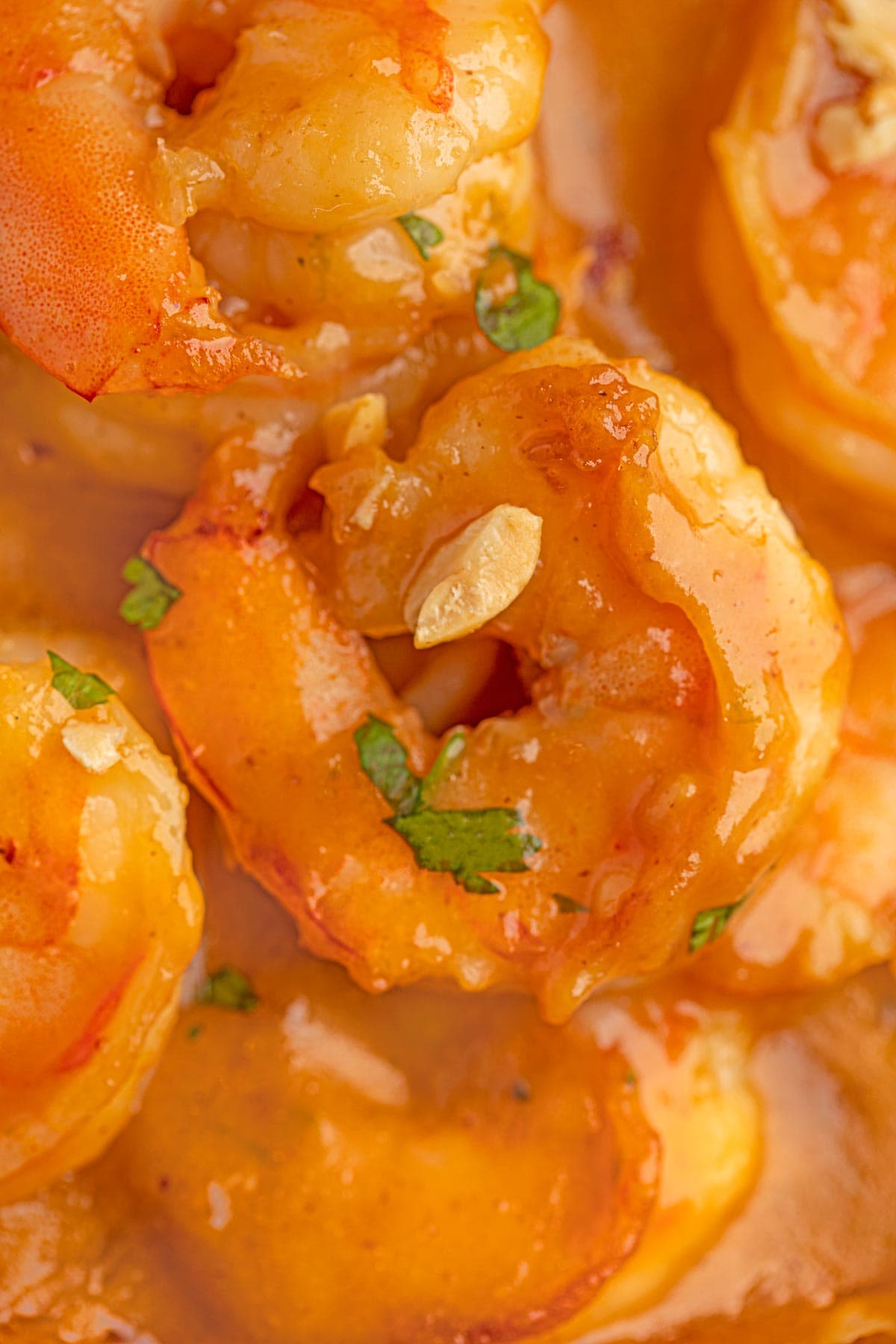 Thai Peanut Shrimp up close