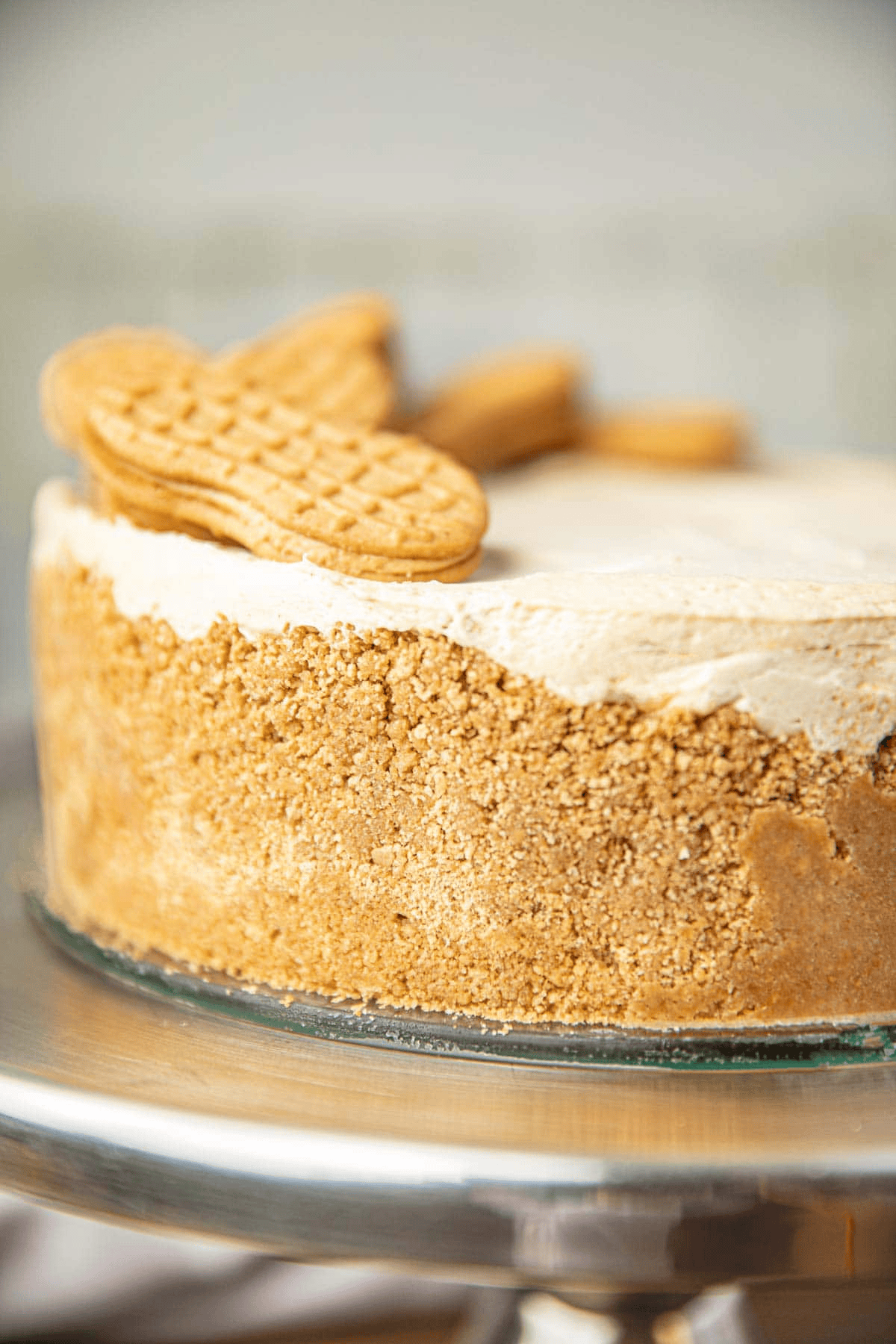 Side of pie with peanut butter cookie crust