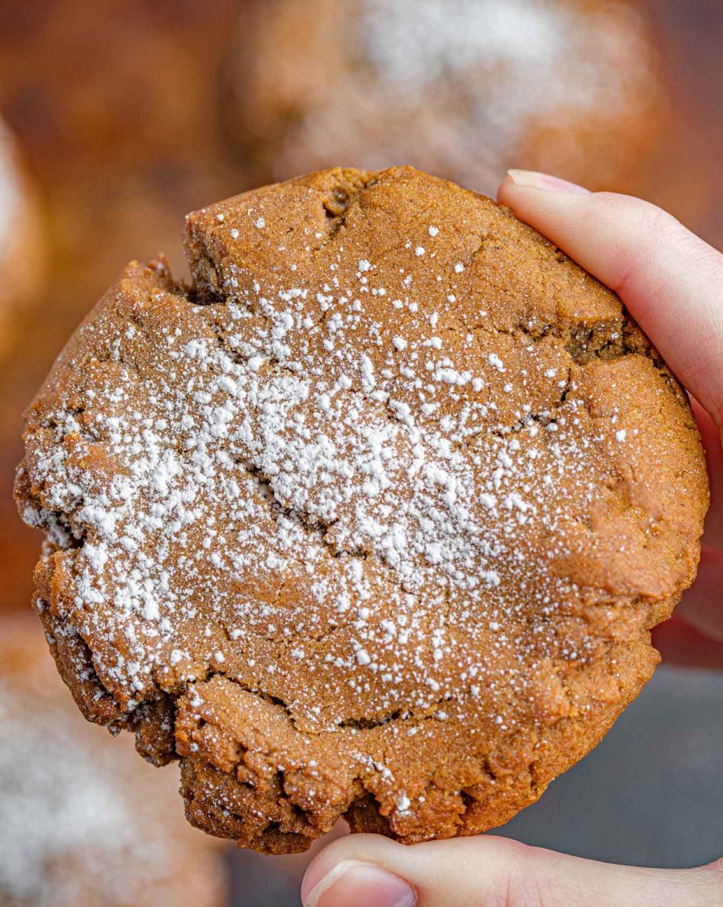 Ginger Cookie being held