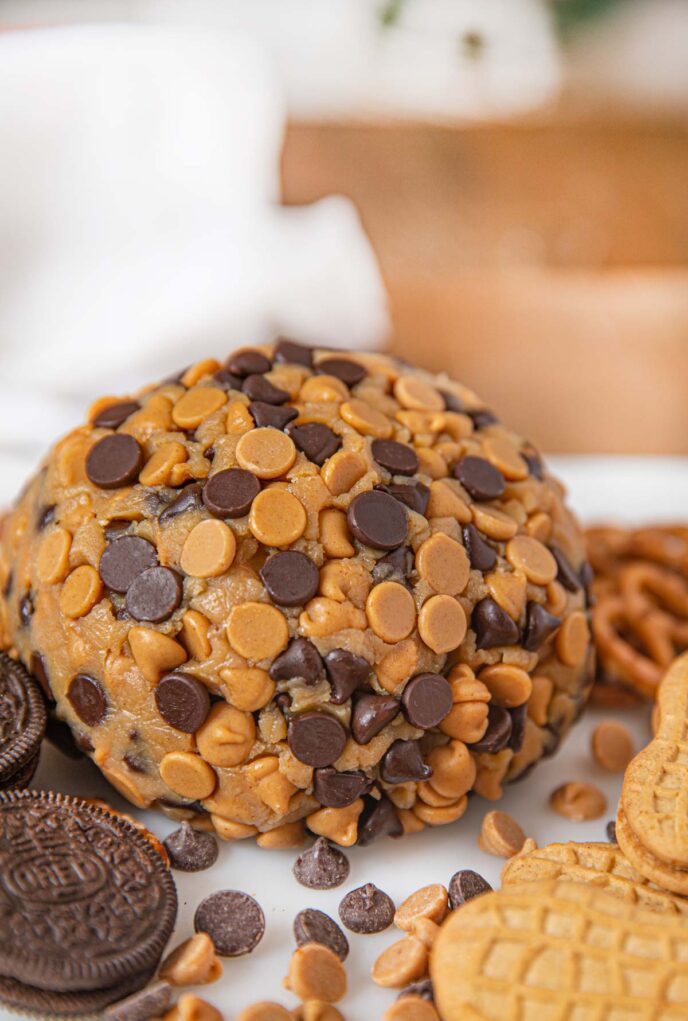 Easy Chocolate Peanut Butter Cheese Ball Recipe - Dinner, then Dessert