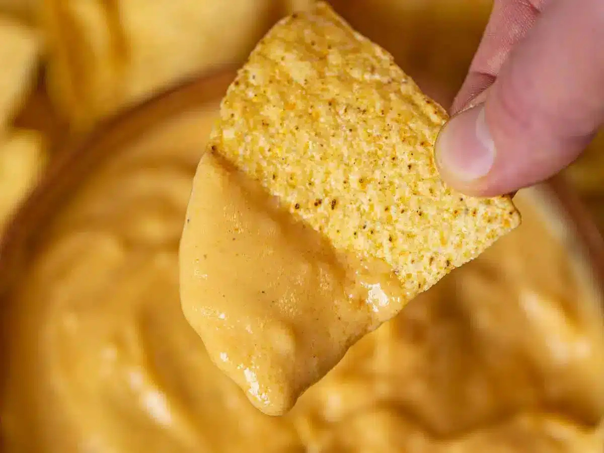 zoomed in image of chip with cheese sauce