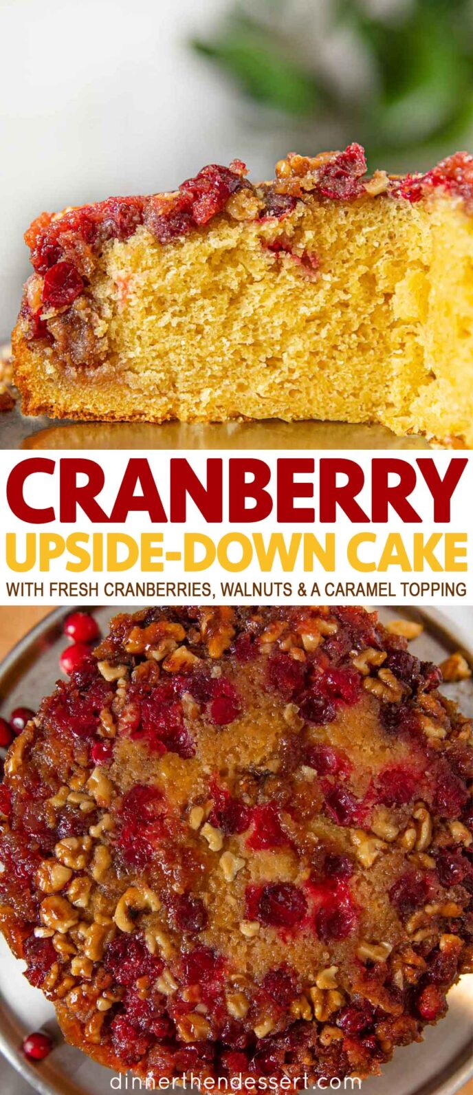 Cranberry Cake