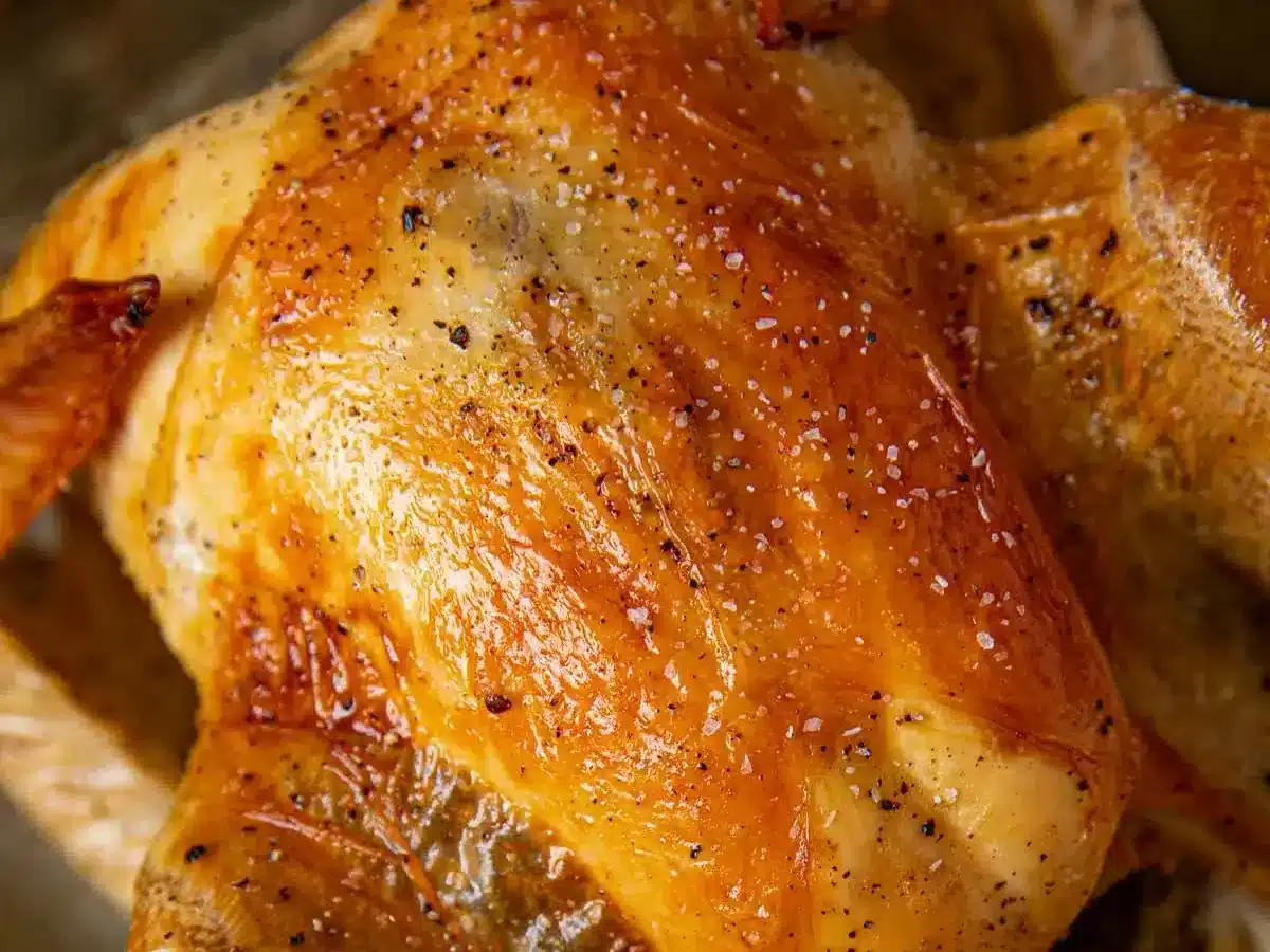 Cooked turkey with crispy skin