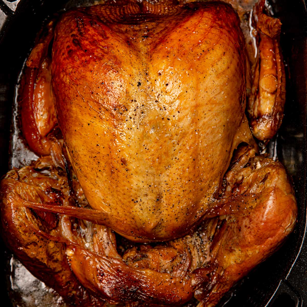 Roast Turkey Recipe In Electric Roaster Oven Dinner Then Dessert
