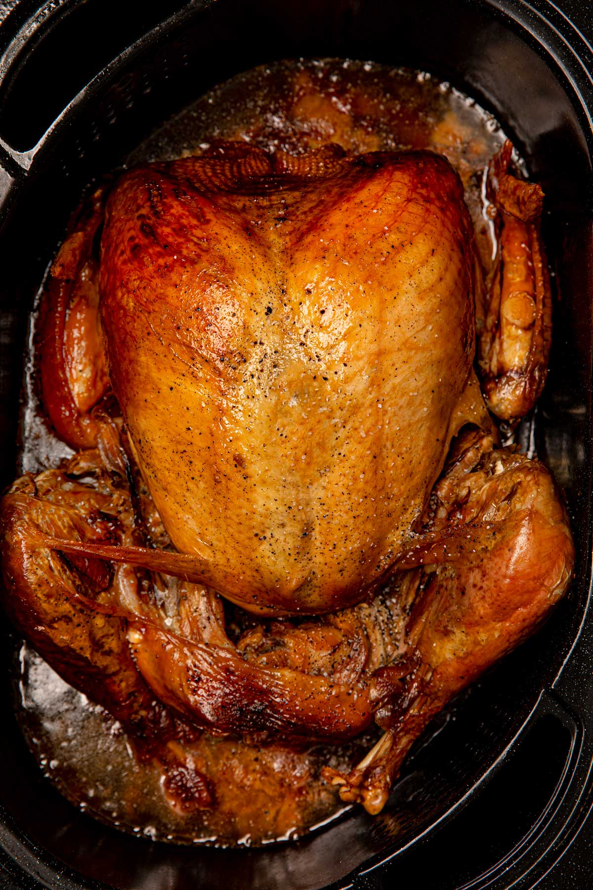 Roast Turkey Recipe (In Electric Roaster Oven) [VIDEO] - Dinner