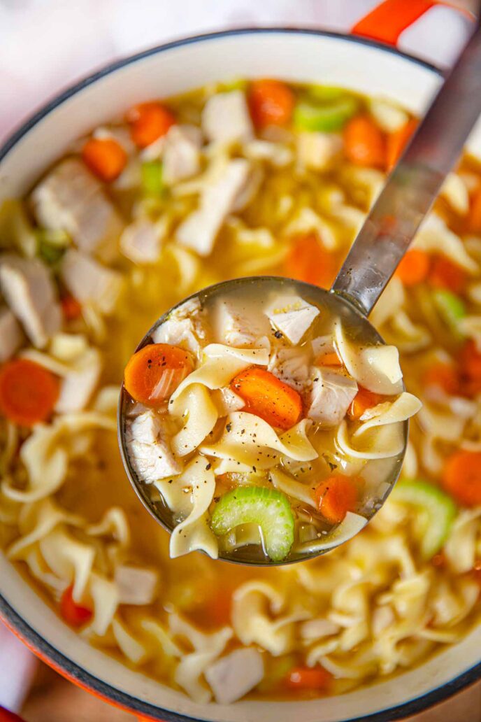 Turkey Soup in ladle