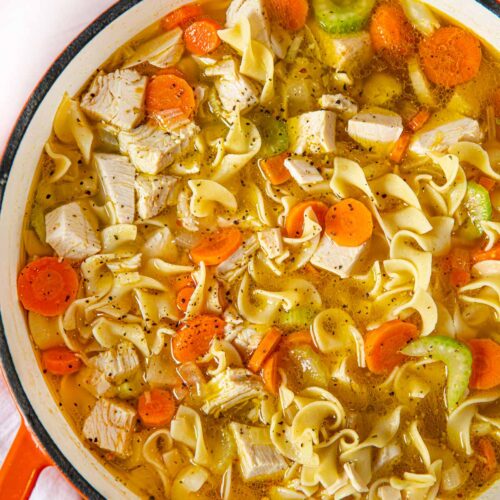 Classic Chicken Noodle Soup Recipe [VIDEO] - Dinner, then Dessert
