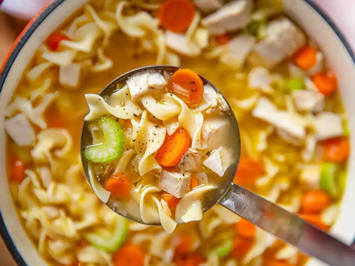 Closeup of a spoonful of cooked broth with veggies, noodles and seasoning