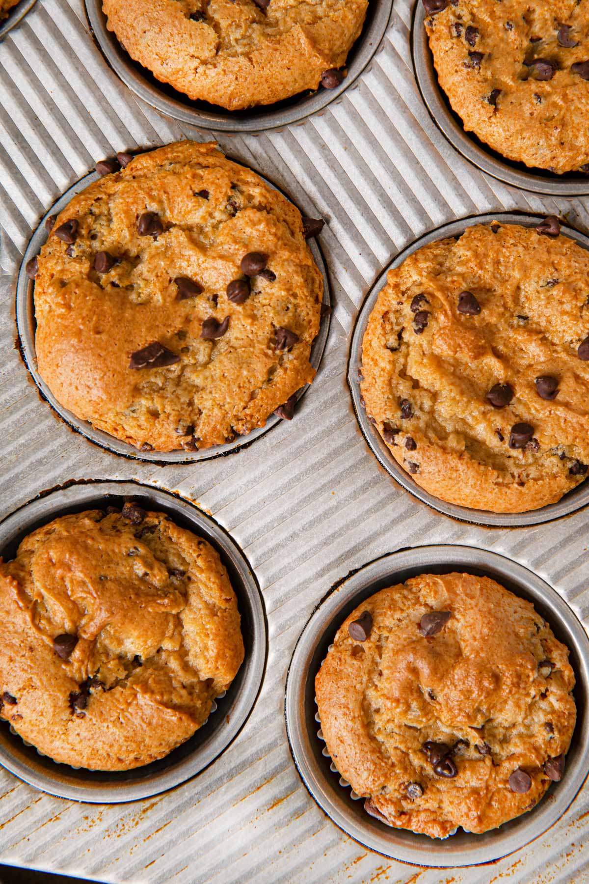 cake mix muffins chocolate chip