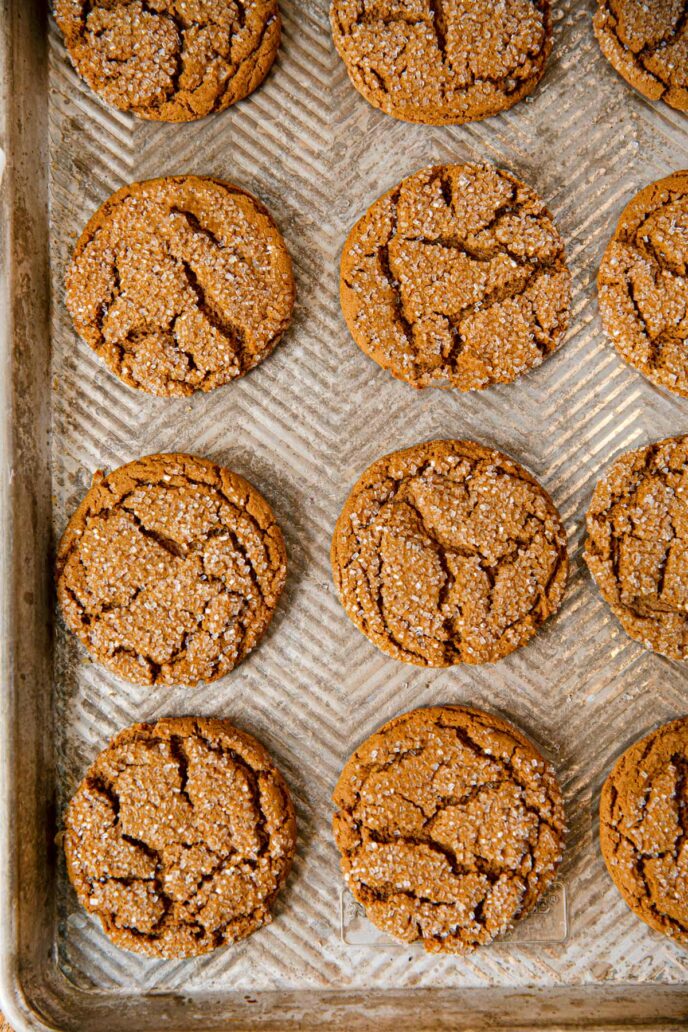 Sheet tray full of sugar covered Molasses Cookies