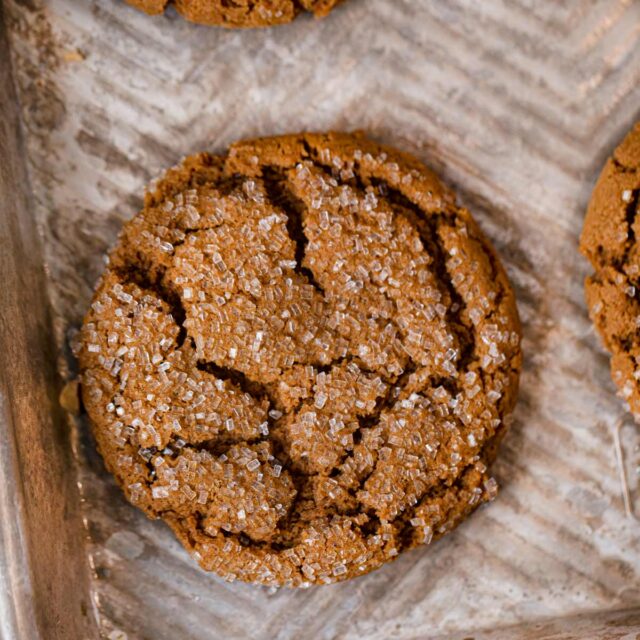 Molasses Cookie on cookie sheet