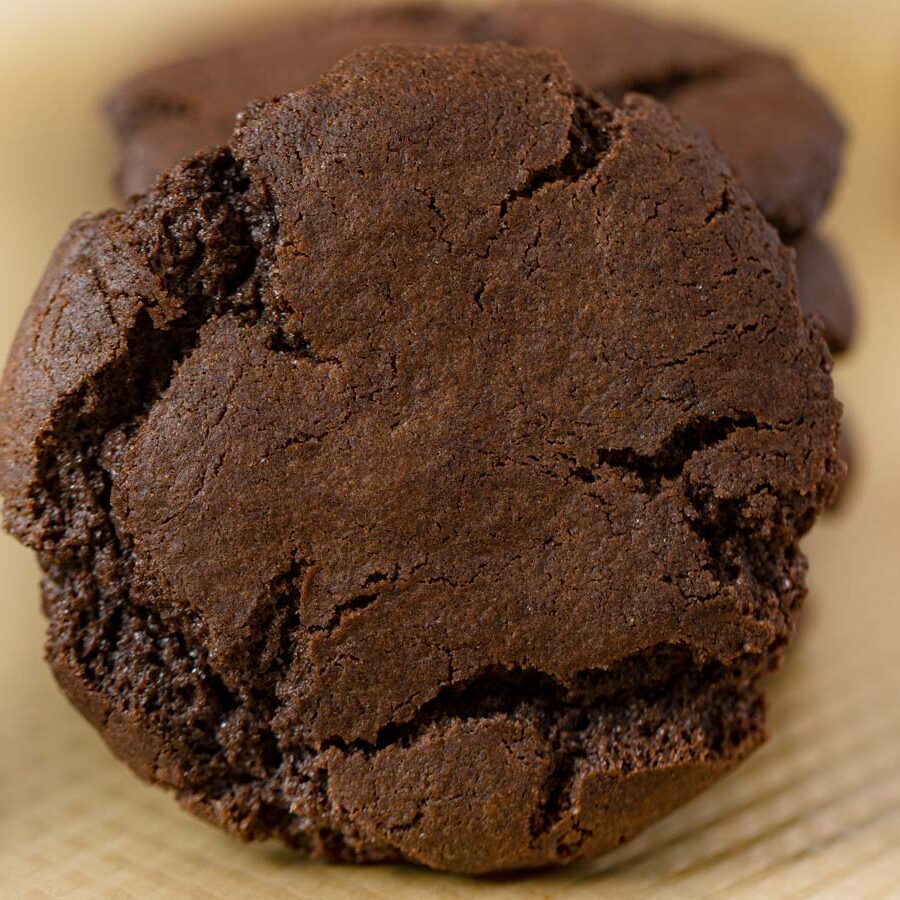 Chewy Chocolate Cookie