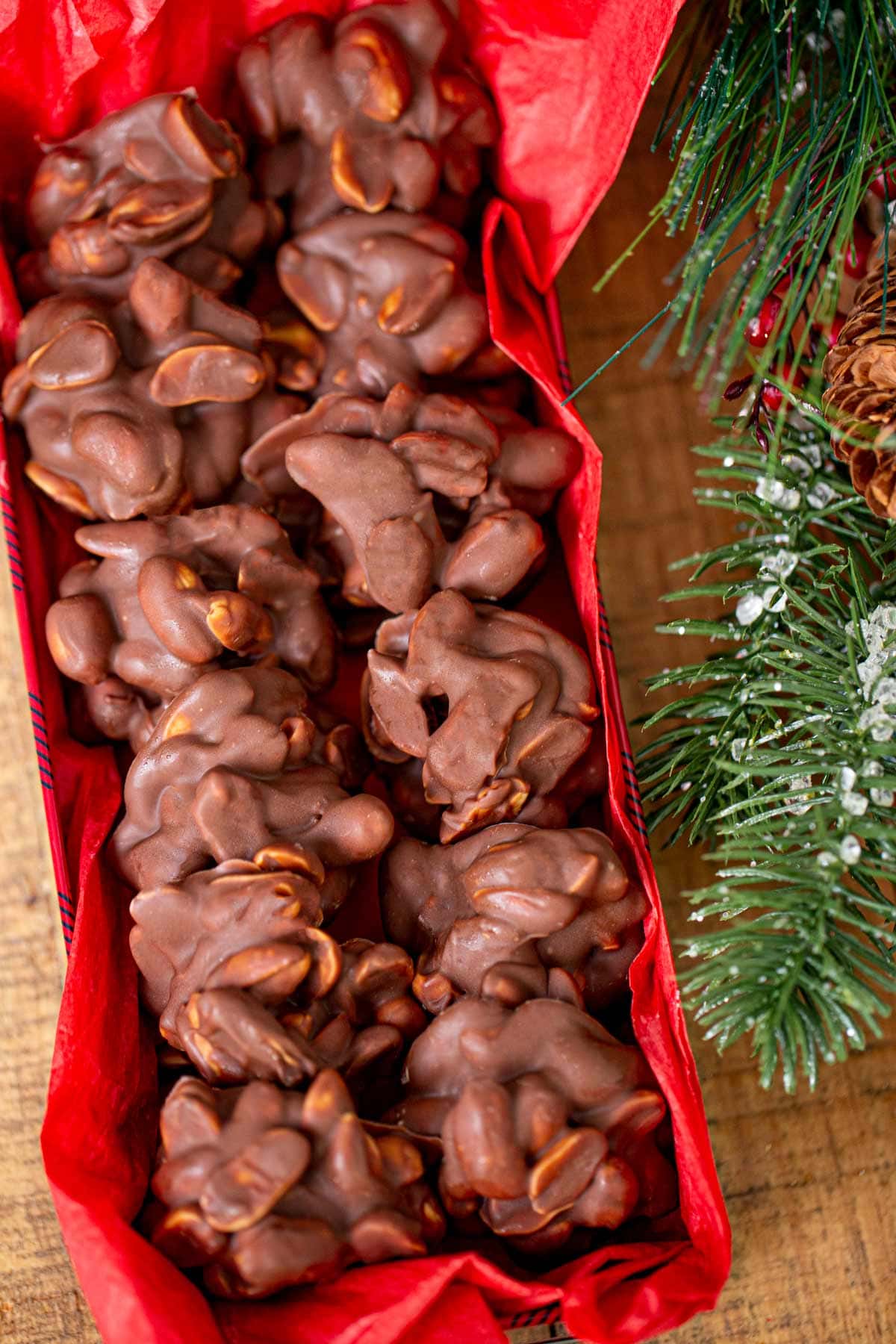 Chocolate Peanut Clusters lined up in a  decorative box with red tissue paper next to pine tree branches