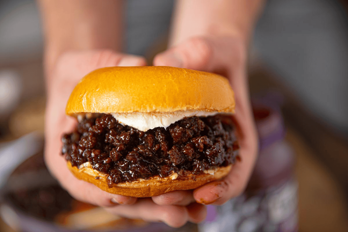 Hands holding up a meat sandwich to the camera