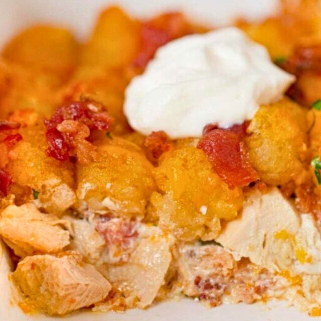 cross-section of homemade chicken casserole