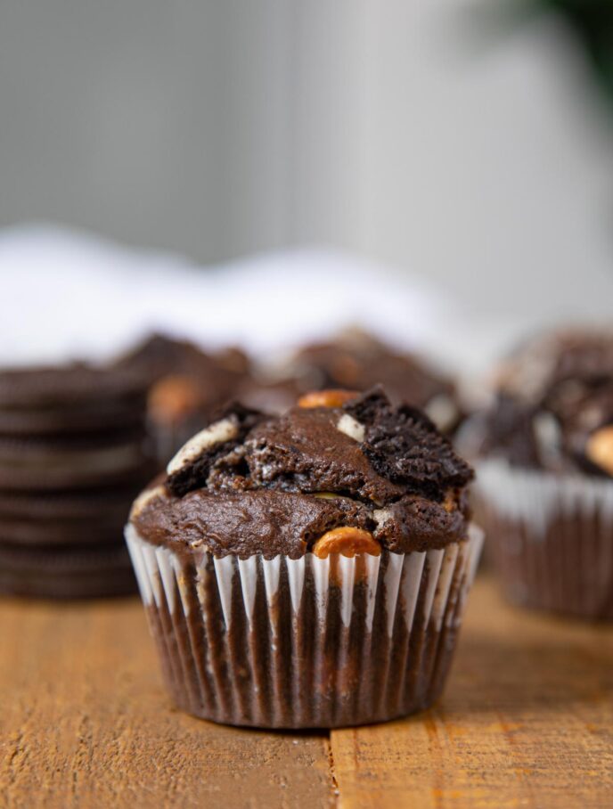 Chocolate Oreo Cupcake close up