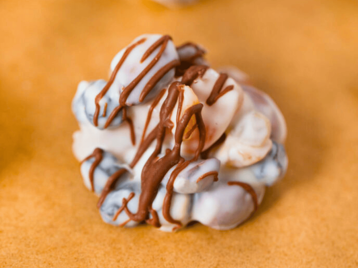 Fruit and Nut Cluster with chocolate drizzle