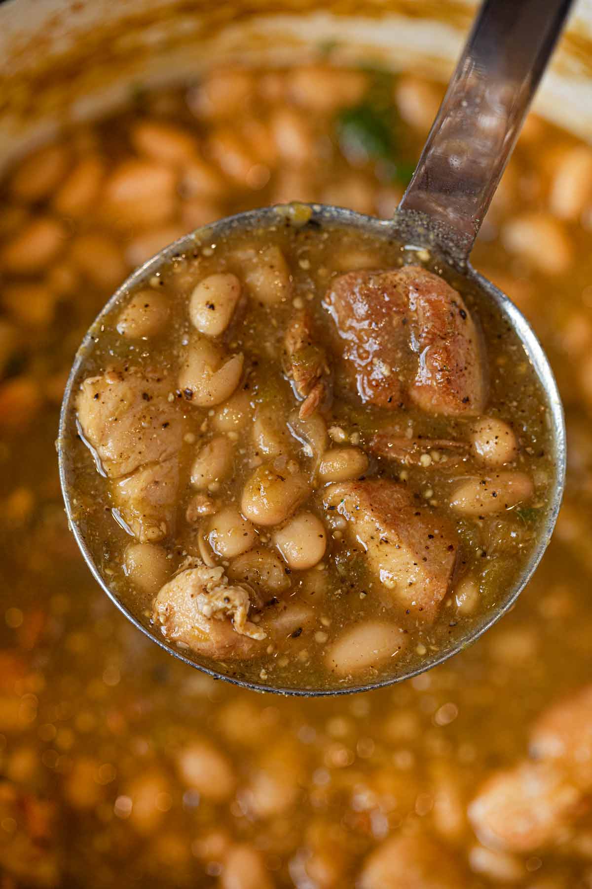 Soupe tomatillo au poulet à la louche