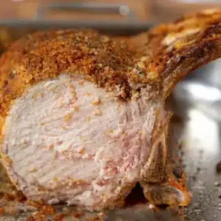 Side view of pork with bone