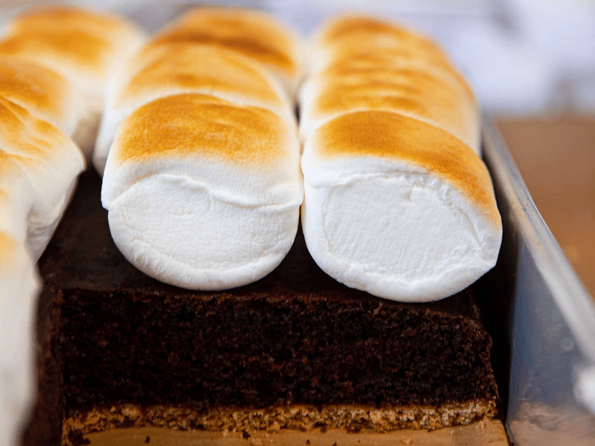 cake in pan with roasted marshmallows on top