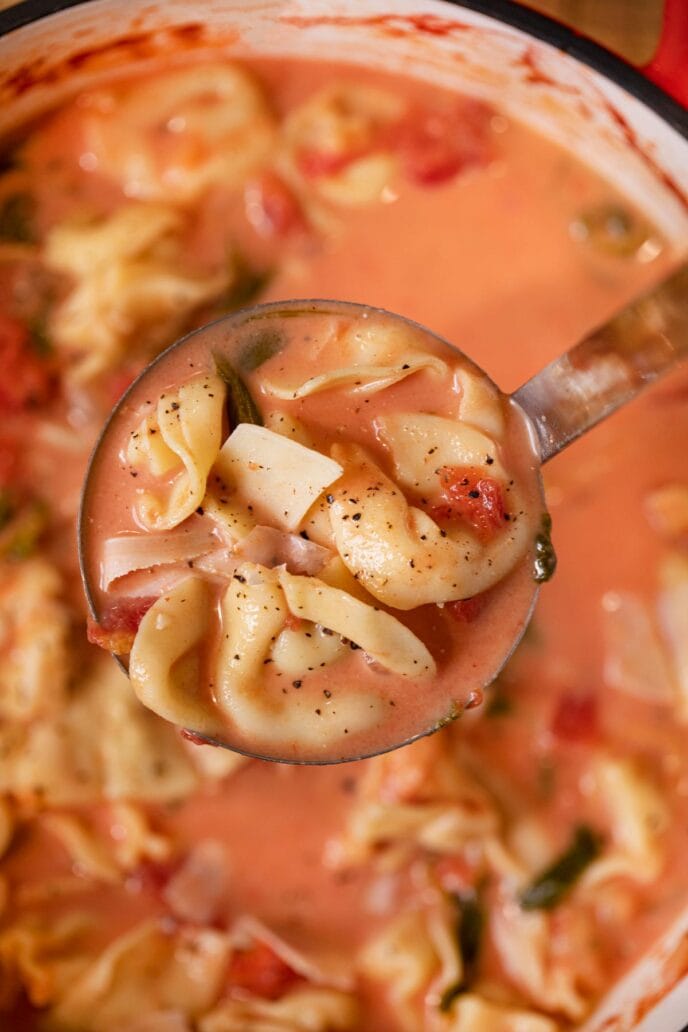 Creamy Tomato Tortellini Soup in ladle