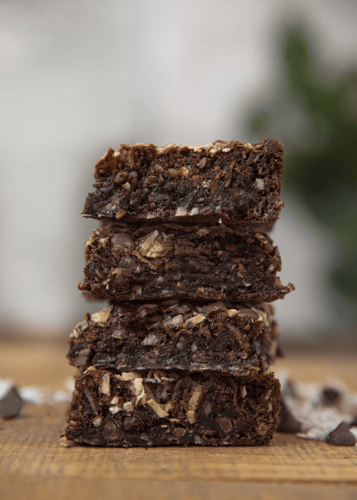 of brownies with chocolate chip and coconuts mixed in