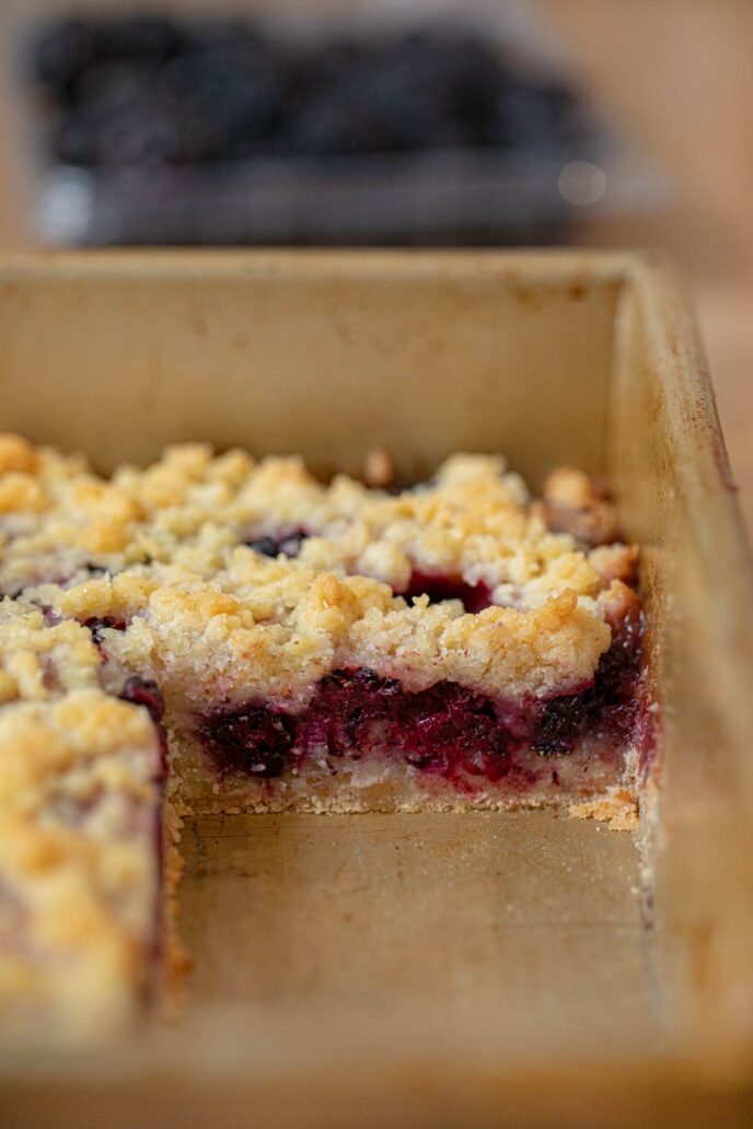 Blackberry Crumb Bars cross section in baking pan