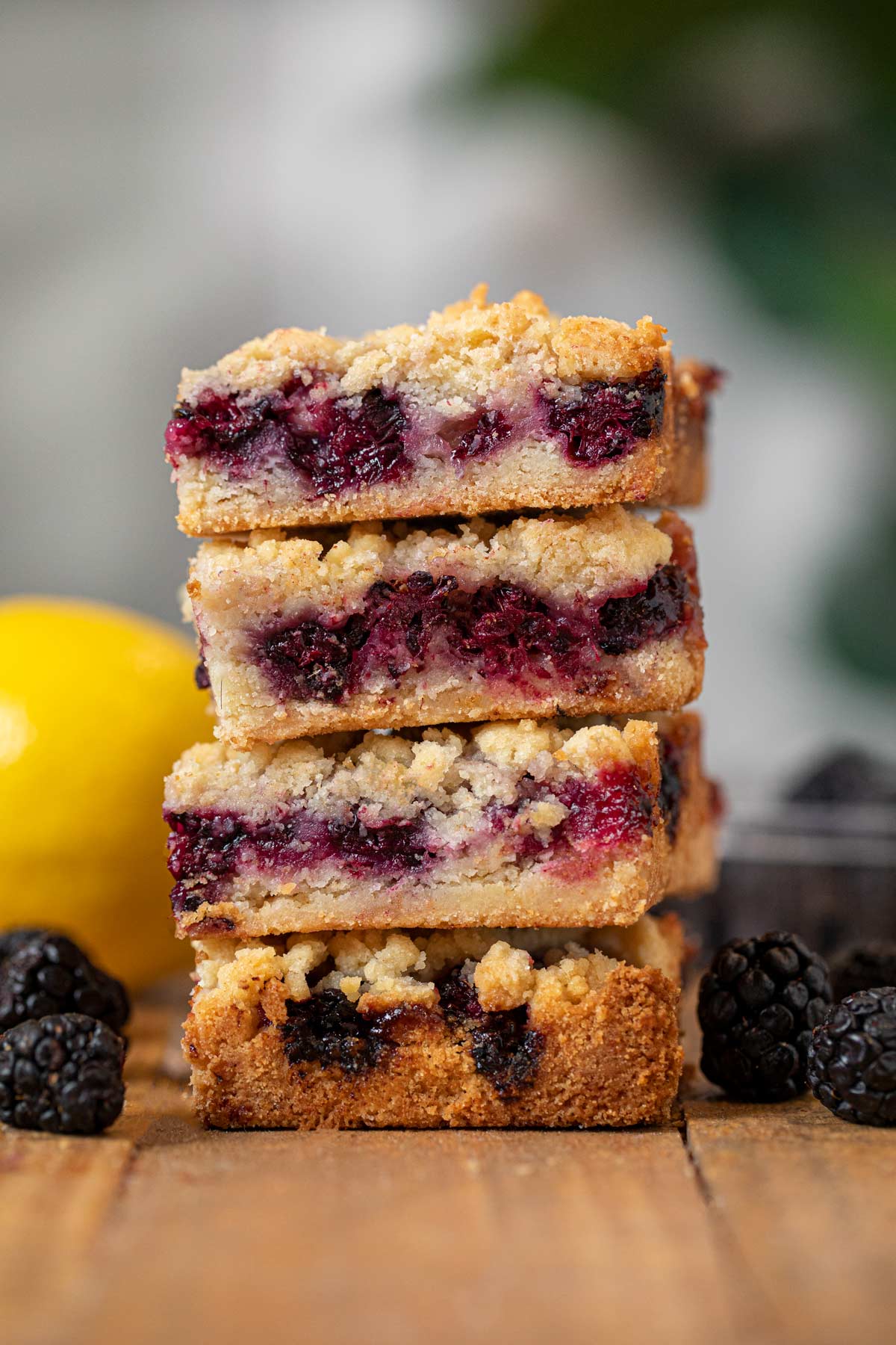 Blackberry Crumb Bars Recipe Bakery Quality VIDEO Dinner Then 