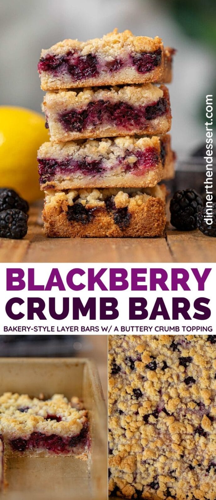 Blackberry Crumb Bars collage