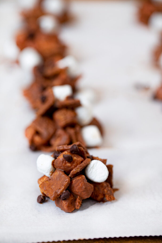 No-Bake S'mores Cookies in a line on parchment paper